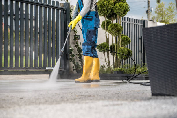 Best Gutter Cleaning  in Norwalk, OH
